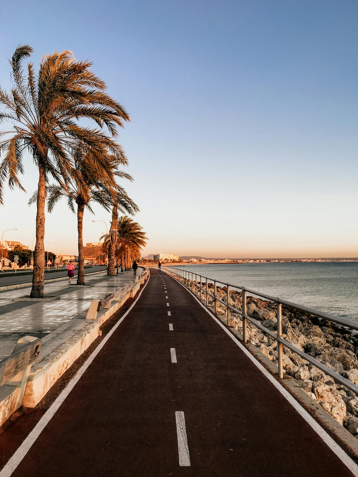 Piste cyclable et piétonne bordée de palmiers le long de la mer