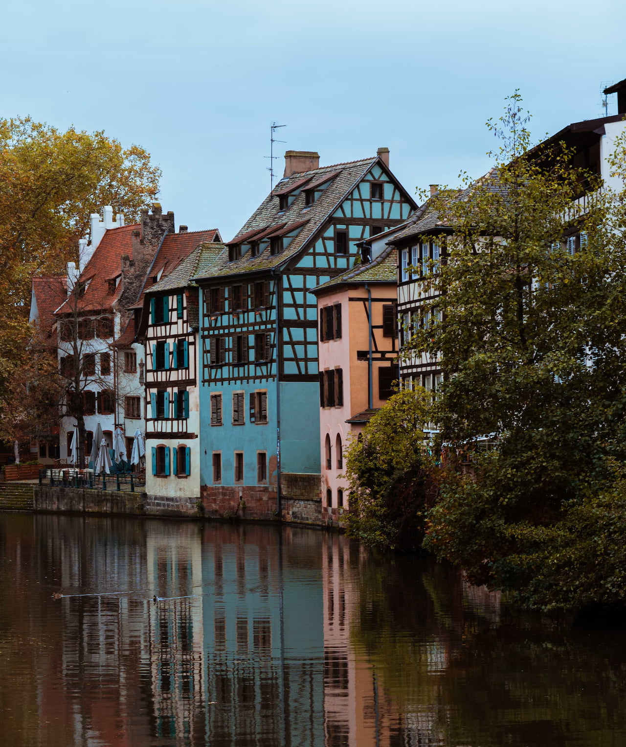 Sites en ligne en Alsace