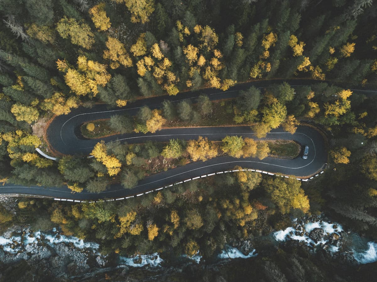 Route entourée d'un foret